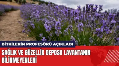 Sağlık ve güzellik deposu lavantanın bilinmeyenleri