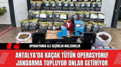 Antalya'da Kaçak Tütün Operasyonu! Jandarma Topluyor Onlar Getiriyor