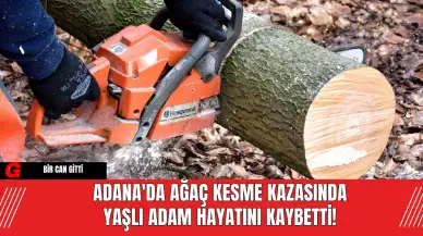 Adana'da Ağaç Kesme Kazasında Yaşlı Adam Hayatını Kaybetti!