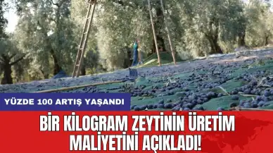 Bir kilogram zeytinin üretim maliyetini açıkladı!