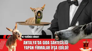 Antalya’da Gıda Sahteciliği Yapan Firmalar İfşa Edildi!