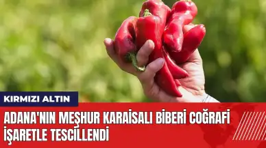 Adana'nın meşhur Karaisalı biberi coğrafi işaretle tescillendi