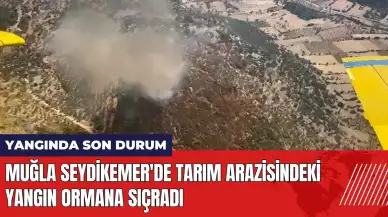 Muğla Seydikemer'de tarım arazisindeki yangın ormana sıçradı