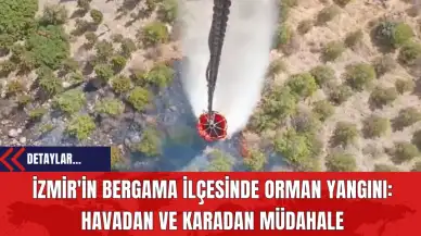 İzmir'in Bergama İlçesinde Orman Yangını: Havadan ve Karadan Müdahale