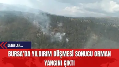 Bursa’da Yıldırım Düşmesi Sonucu Orman Yangını Çıktı