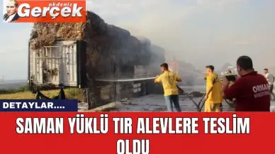 Saman yüklü tır alevlere teslim oldu