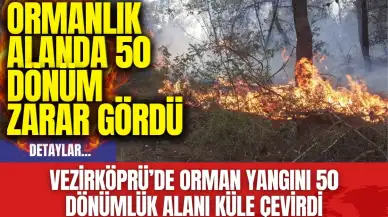 Vezirköprü’de orman yangını 50 dönümlük alanı küle çevirdi