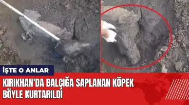 Kırıkhan'da balçığa saplanan köpek böyle kurtarıldı