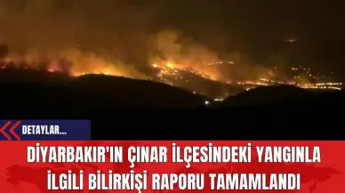 Diyarbakır'ın Çınar İlçesindeki Yangınla İlgili Bilirkişi Raporu Tamamlandı