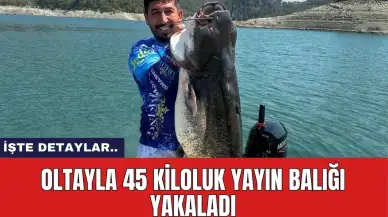 Oltayla 45 kiloluk yayın balığı yakaladı