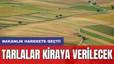 Bakanlık harekete geçti: Tarlalar kiraya verilecek