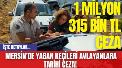 Mersin’de Yaban Keçileri Avlayanlara Tarihi Ceza!