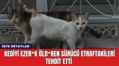 Kediyi ezer*k öld*ren sürücü etraftakileri tehdit etti! İşte o anlar