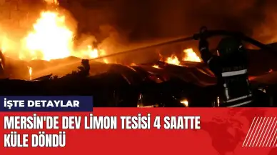 Mersin'de dev limon tesisi 4 saatte küle döndü