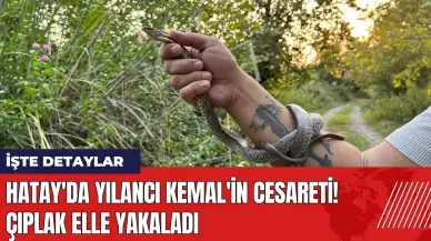 Hatay'da Yılancı Kemal'in cesareti! Çıplak elle yakaladı