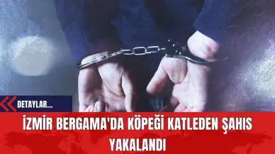 İzmir Bergama'da Köpeği Katleden Şahıs Yakalandı