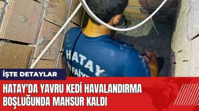 Hatay'da yavru kedi havalandırma boşluğunda mahsur kaldı