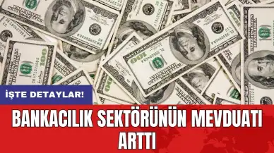 Bankacılık sektörünün mevduatı arttı