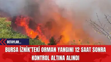 Bursa İznik’teki Orman Yangını 12 Saat Sonra Kontrol Altına Alındı