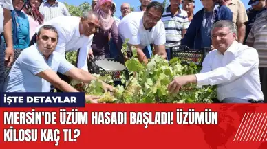 Mersin'de üzüm hasadı başladı! Üzümün kilosu kaç TL?