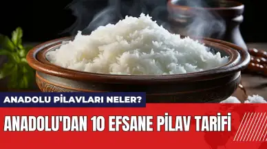 Anadolu pilavları neler? Anadolu'dan 10 efsane pilav tarifi