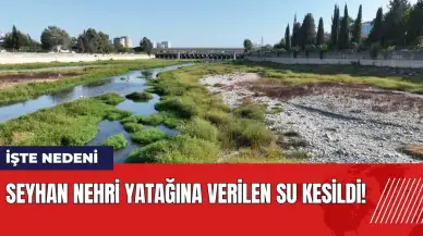 Seyhan Nehri yatağına verilen su kesildi! İşte nedeni