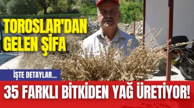 Toroslar'dan gelen şifa: 35 farklı bitkiden yağ üretiyor!