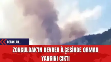 Zonguldak'ın Devrek İlçesinde Orman Yangını Çıktı