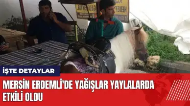 Mersin Erdemli'de yağışlar yaylalarda etkili oldu