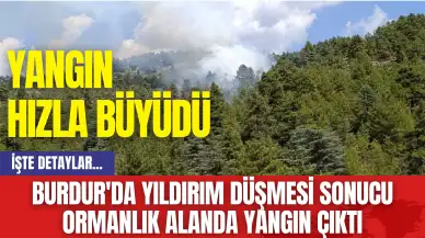 Burdur'da Yıldırım düşmesi sonucu ormanlık alanda yangın çıktı