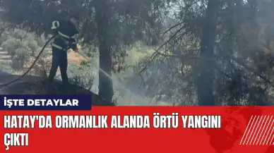 Hatay'da ormanlık alanda örtü yangını çıktı