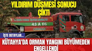 Kütahya'da Orman Yangını Büyümeden Engellendi