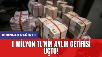 Oranlar değişti: 1 milyon TL'nin aylık getirisi uçtu!