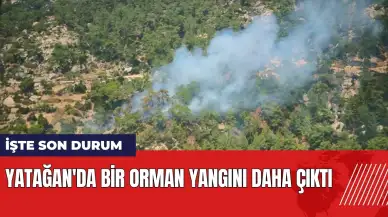 Yatağan'da bir orman yangını daha çıktı