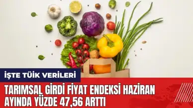 Tarımsal Girdi Fiyat Endeksi haziran ayında yüzde 47 arttı