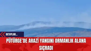 Pütürge’de Arazi Yangını Ormanlık Alana Sıçradı