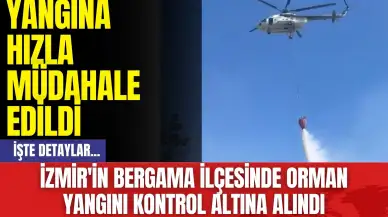 İzmir'in Bergama İlçesinde Orman Yangını Kontrol Altına Alındı