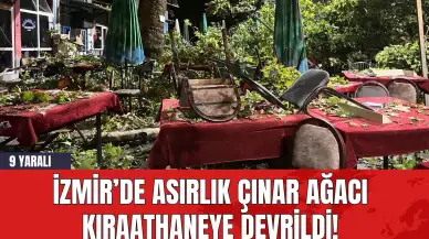 İzmir’de Asırlık Çınar Ağacı Kıraathaneye Devrildi! 9 Yaralı