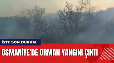 Osmaniye'de orman yangını çıktı