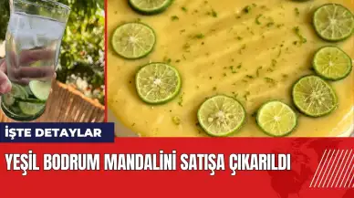 Yeşil Bodrum Mandalini satışa çıkarıldı