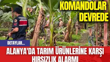 Alanya'da tarım ürünlerine karşı hırsızlık alarmı: Komandolar devrede