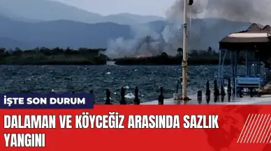 Dalaman ve Köyceğiz arasında sazlık yangını