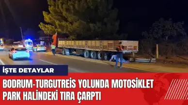 Bodrum-Turgutreis yolunda motosiklet park halindeki tıra çarptı