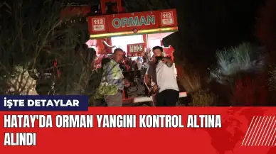 Hatay'da orman yangını kontrol altına alındı