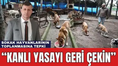 Zaman Varken Yasayı Geri Çekin! Sokak Hayvanlarının Toplanmasına Tepki