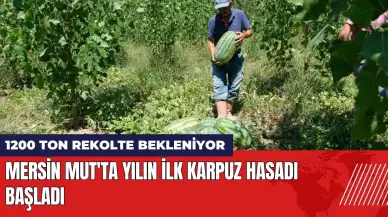 Mersin Mut'ta yılın ilk karpuz hasadı başladı