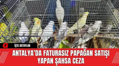 Antalya’da Faturasız Papağan Satışı Yapan Şahsa Ceza