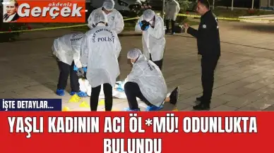 Yaşlı kadının acı öl*mü! Odunlukta c*nsız bedeni bulundu