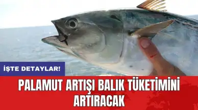 Palamut artışı balık tüketimini artıracak