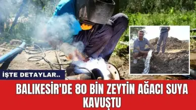 Balıkesir'de 80 bin zeytin ağacı suya kavuştu